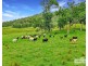 1806 Upper Rocky River Road, Tenterfield NSW 2372