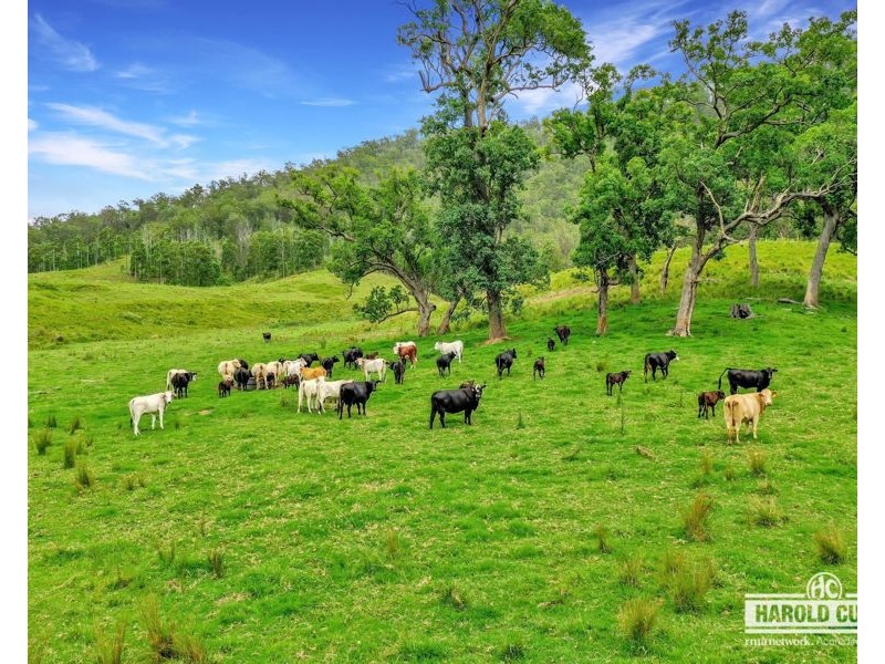 1806 Upper Rocky River Road, Tenterfield NSW 2372