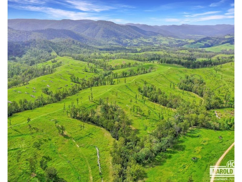 1806 Upper Rocky River Road, Tenterfield NSW 2372