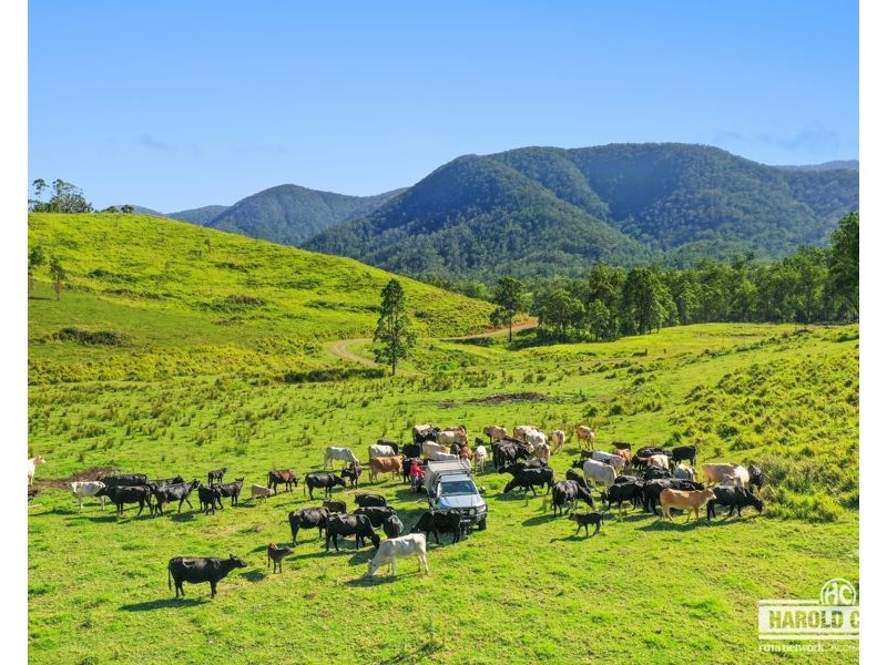 1806 Upper Rocky River Road, Tenterfield NSW 2372