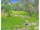 1806 Upper Rocky River Road, Tenterfield NSW 2372