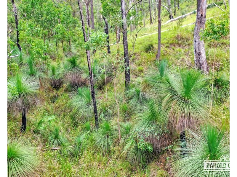 1806 Upper Rocky River Road, Tenterfield NSW 2372