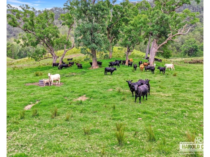 1806 Upper Rocky River Road, Tenterfield NSW 2372