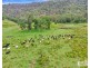 1806 Upper Rocky River Road, Tenterfield NSW 2372