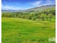 1806 Upper Rocky River Road, Tenterfield NSW 2372
