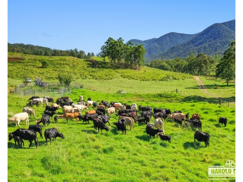 1806 Upper Rocky River Road, Tenterfield NSW 2372