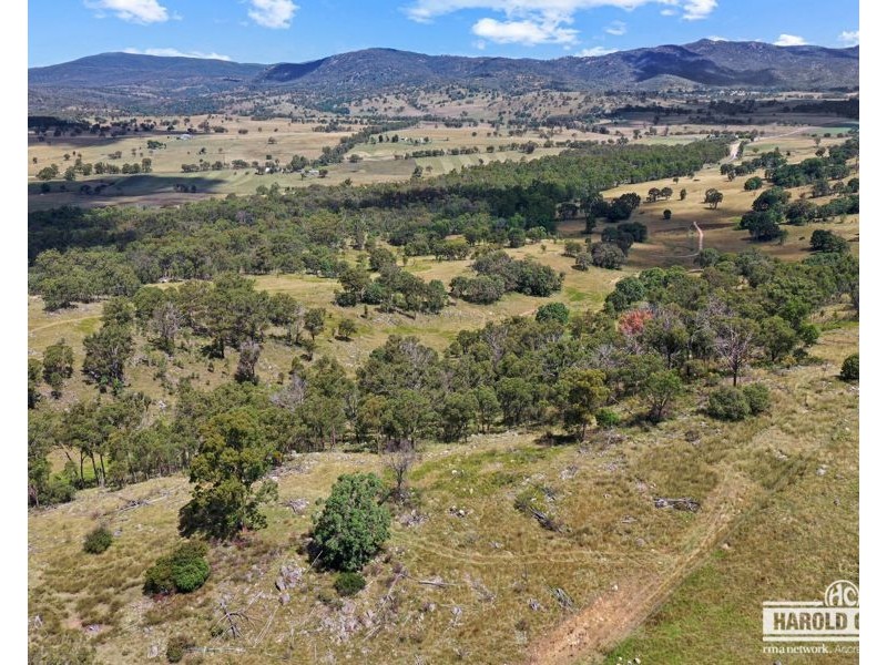 3 McCliftys Road, Bolivia via, Tenterfield NSW 2372