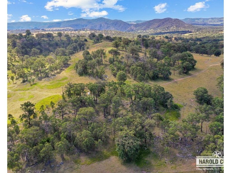 3 McCliftys Road, Bolivia via, Tenterfield NSW 2372