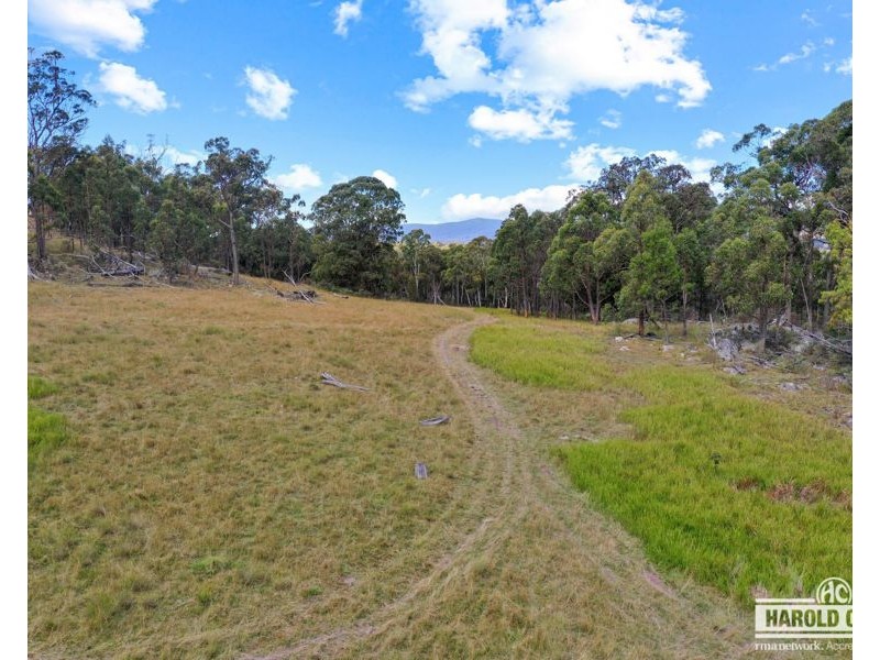 3 McCliftys Road, Bolivia via, Tenterfield NSW 2372