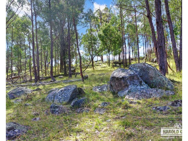 3 McCliftys Road, Bolivia via, Tenterfield NSW 2372