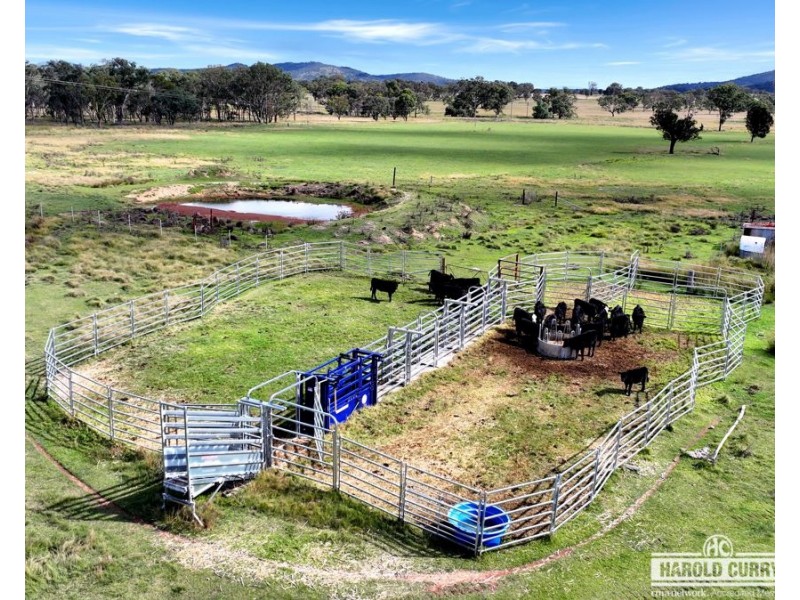 1623 Bruxner Way, Tenterfield NSW 2372