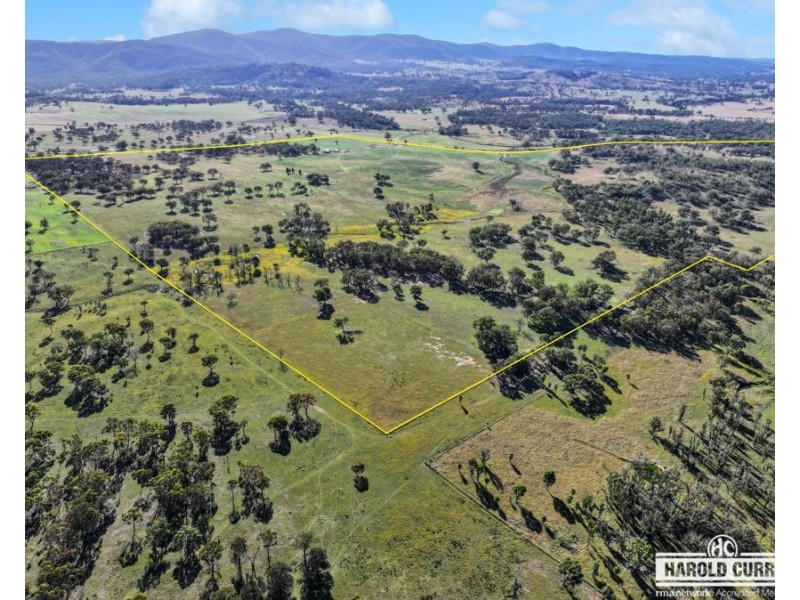 1623 Bruxner Way, Tenterfield NSW 2372