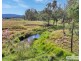 1623 Bruxner Way, Tenterfield NSW 2372