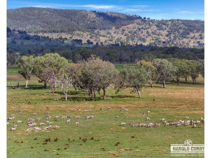 1623 Bruxner Way, Tenterfield NSW 2372