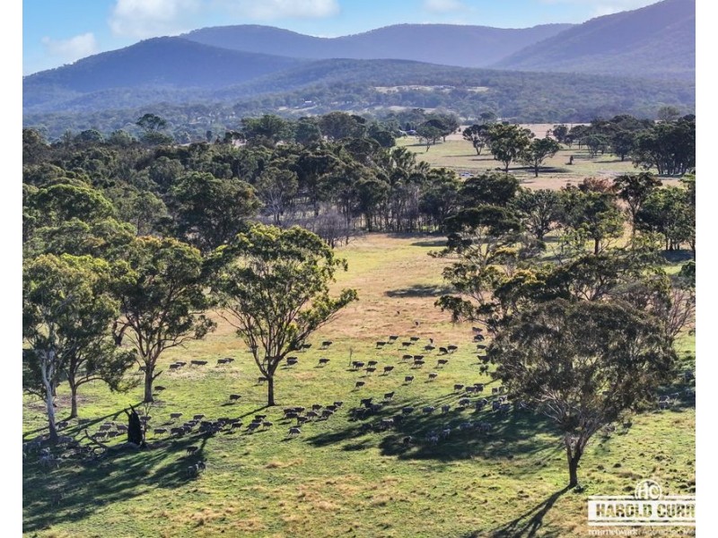 1623 Bruxner Way, Tenterfield NSW 2372