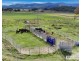 1623 Bruxner Way, Tenterfield NSW 2372