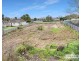 144 Petre Street, Tenterfield NSW 2372