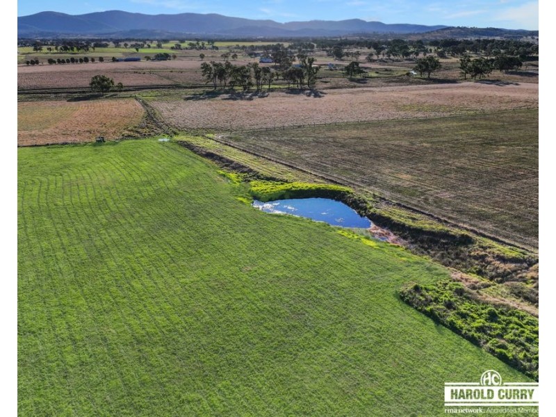 964B Bruxner way, Tenterfield NSW 2372