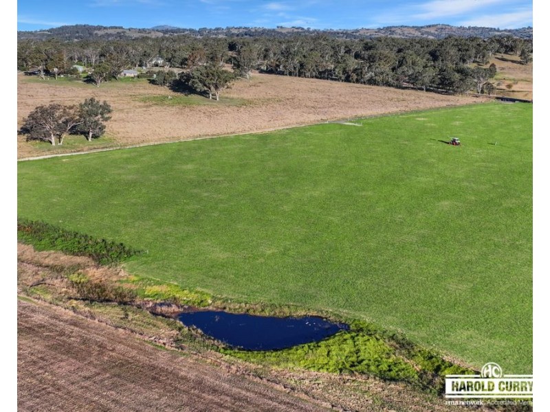 964B Bruxner way, Tenterfield NSW 2372