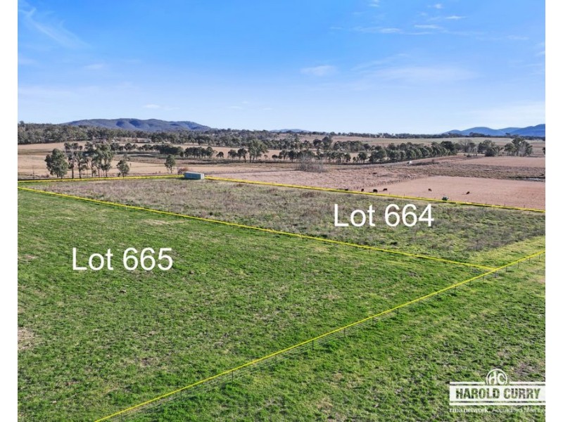 970 Bruxner Way, Tenterfield NSW 2372