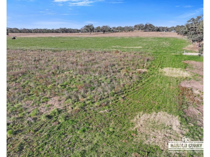 970 Bruxner Way, Tenterfield NSW 2372