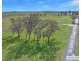 29 Bryans Gap Road, Tenterfield NSW 2372