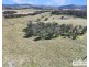Lot 25 Scrub Road, Tenterfield NSW 2372