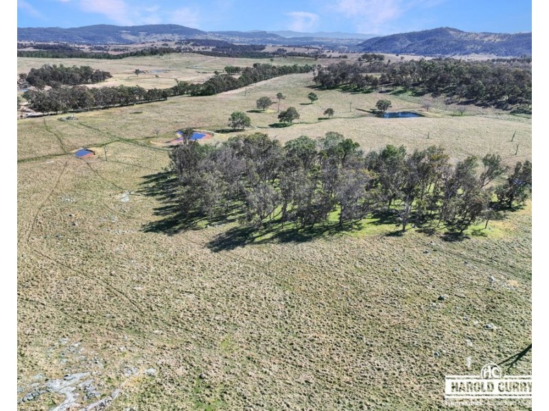 Lot 25 Scrub Road, Tenterfield NSW 2372