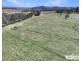 Lot 25 Scrub Road, Tenterfield NSW 2372