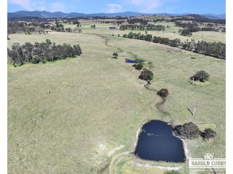 Lot 25 Scrub Road, Tenterfield NSW 2372