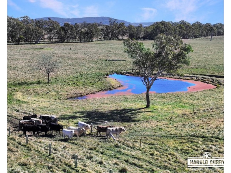 Lot 25 Scrub Road, Tenterfield NSW 2372