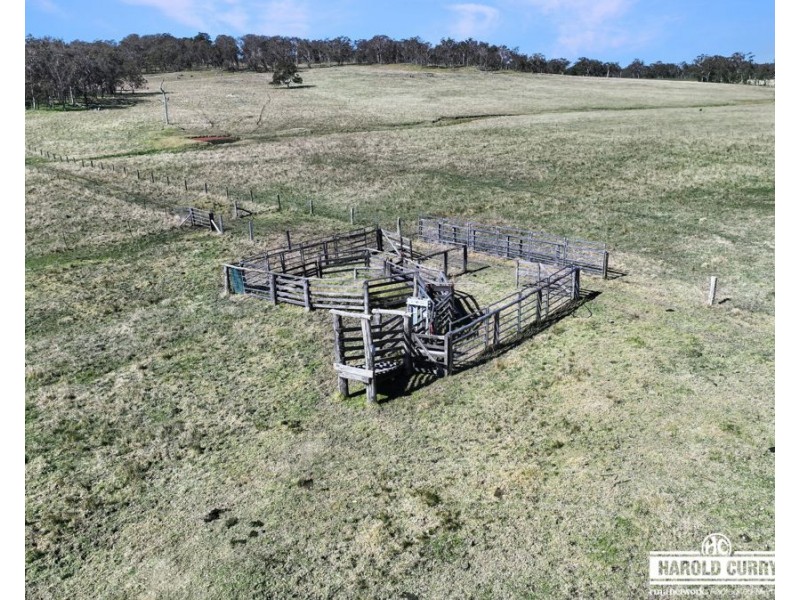 Lot 25 Scrub Road, Tenterfield NSW 2372