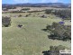 Lot 25 Scrub Road, Tenterfield NSW 2372