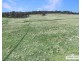 Lot 25 Scrub Road, Tenterfield NSW 2372