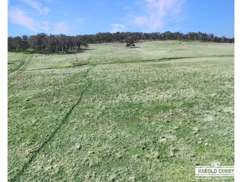Lot 25 Scrub Road, Tenterfield NSW 2372