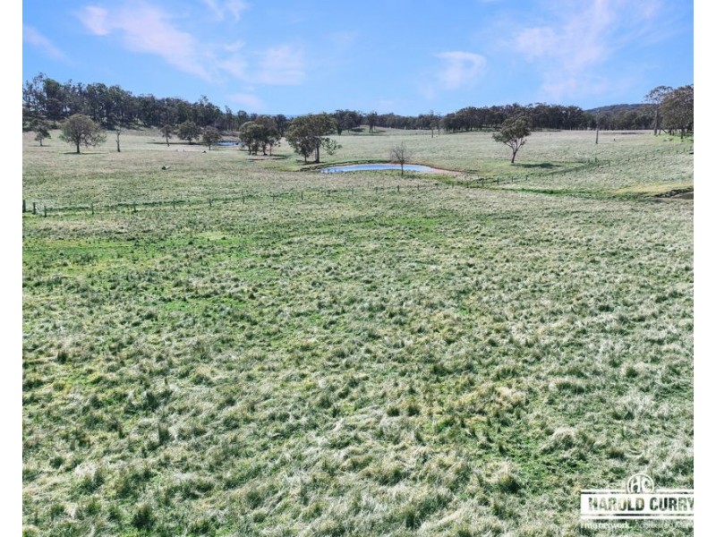 Lot 25 Scrub Road, Tenterfield NSW 2372