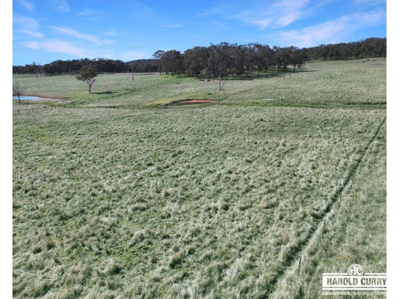 Lot 25 Scrub Road, Tenterfield NSW 2372