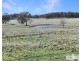 Lot 25 Scrub Road, Tenterfield NSW 2372
