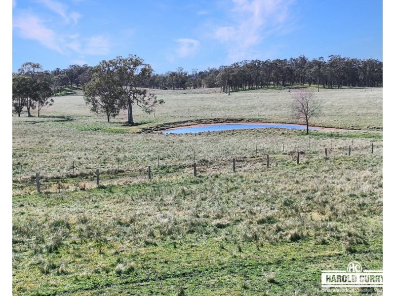 Lot 25 Scrub Road, Tenterfield NSW 2372
