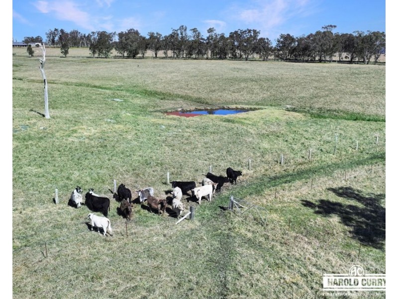 Lot 25 Scrub Road, Tenterfield NSW 2372