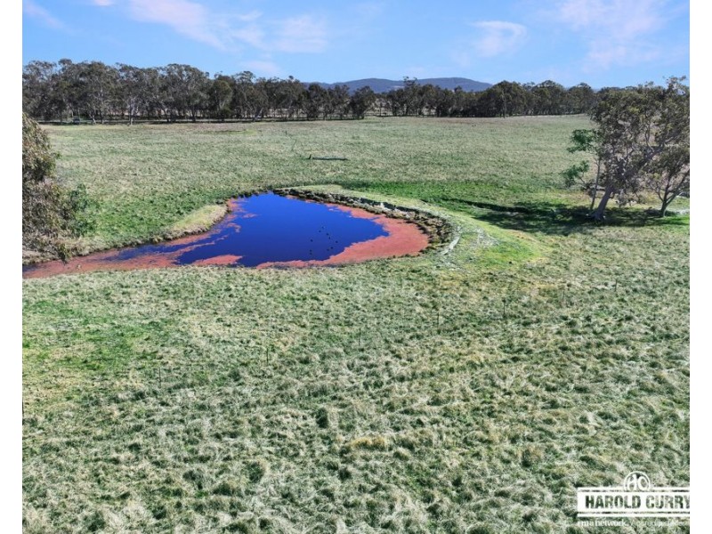 Lot 25 Scrub Road, Tenterfield NSW 2372