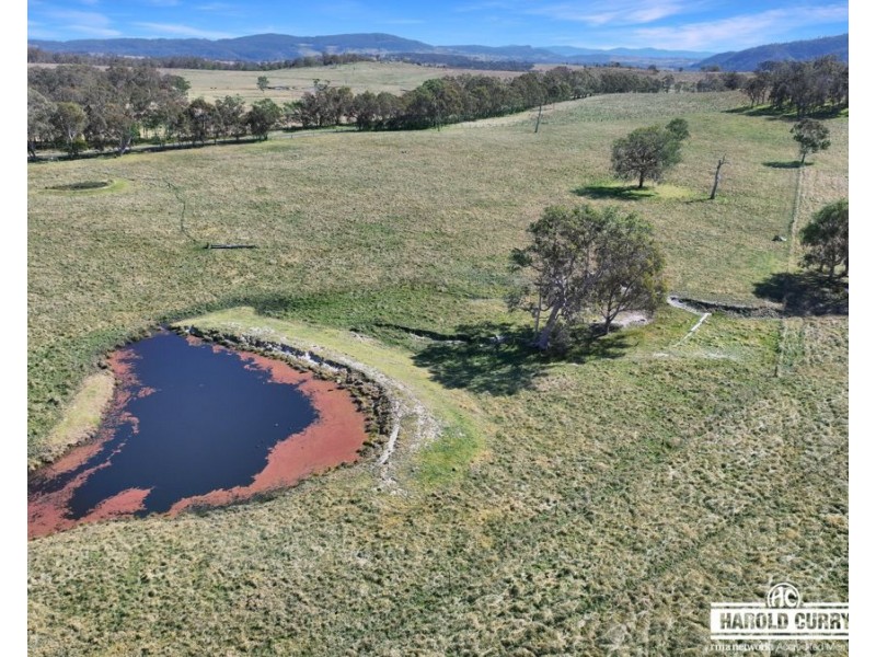 Lot 25 Scrub Road, Tenterfield NSW 2372