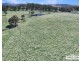 Lot 25 Scrub Road, Tenterfield NSW 2372