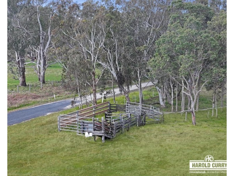 13 Snakes Valley Road, Tenterfield NSW 2372
