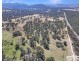 3a McCliftys Road, Bolivia via, Tenterfield NSW 2372