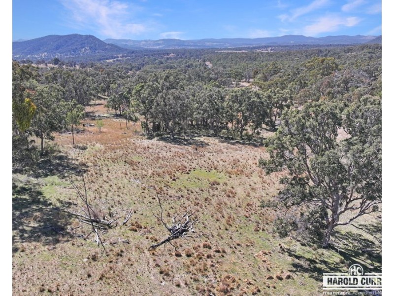 3a McCliftys Road, Bolivia via, Tenterfield NSW 2372