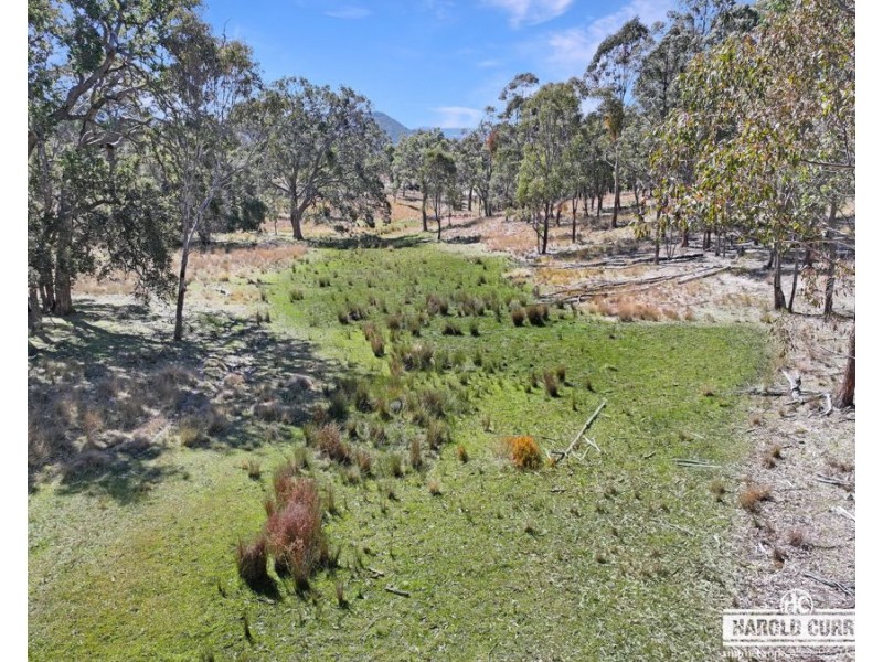 3a McCliftys Road, Bolivia via, Tenterfield NSW 2372