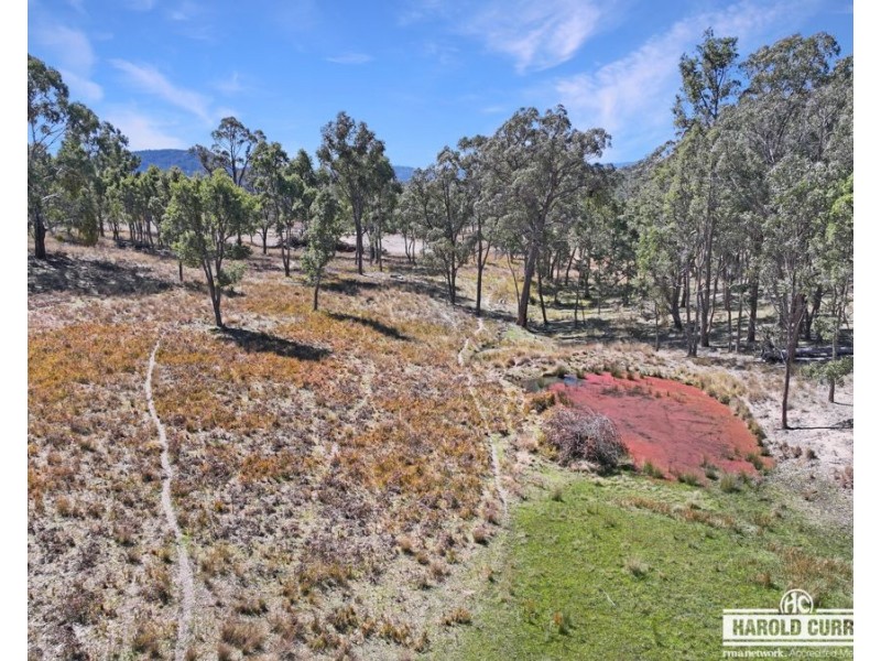 3a McCliftys Road, Bolivia via, Tenterfield NSW 2372