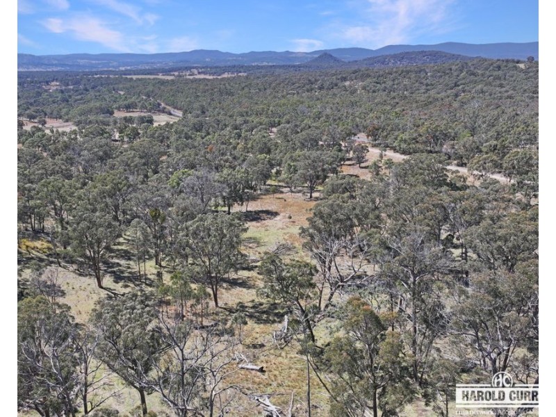 3a McCliftys Road, Bolivia via, Tenterfield NSW 2372