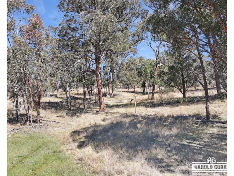3a McCliftys Road, Bolivia via, Tenterfield NSW 2372